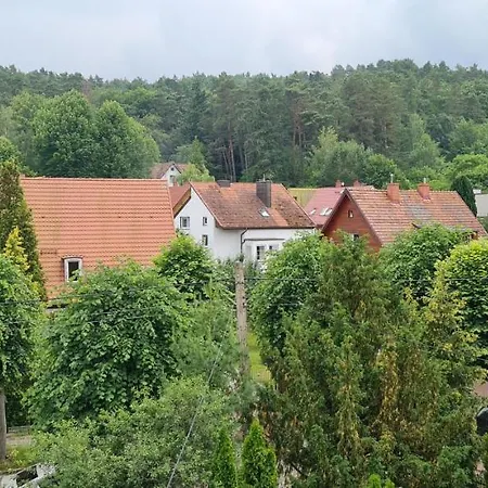 Klimatyczny W Oliwie 公寓 *