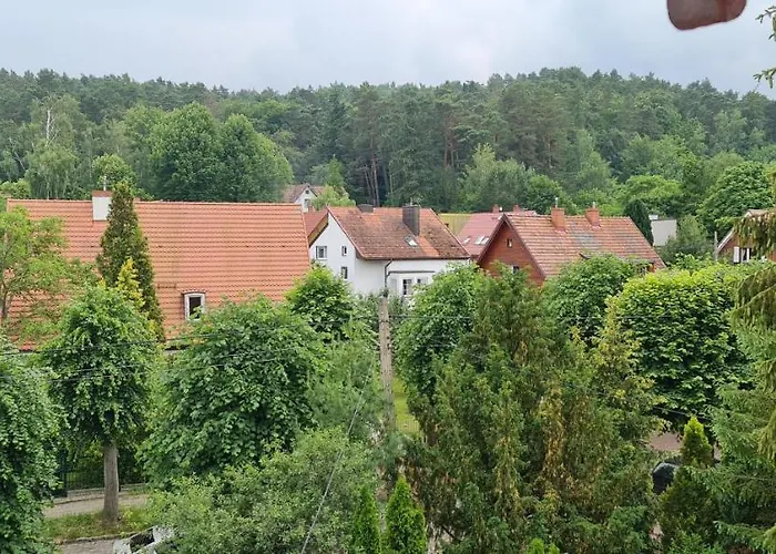 Klimatyczny W Oliwie Apartman *